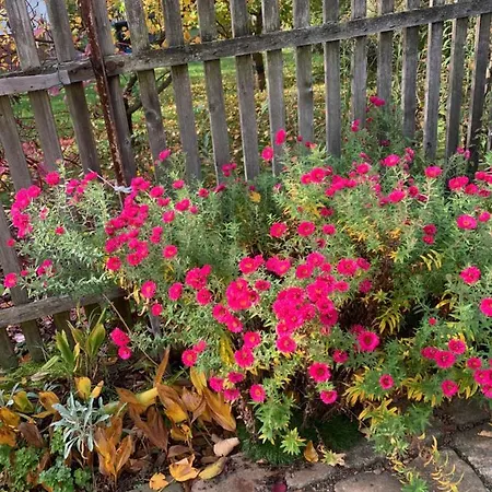 Biesdorf-verkehrsguenstig Und Ruhig *