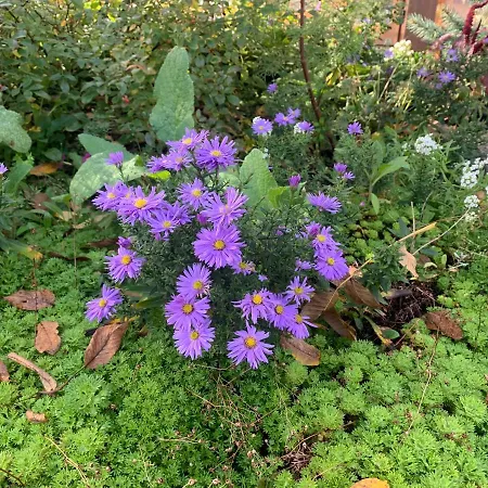 Biesdorf-verkehrsguenstig Und Ruhig *