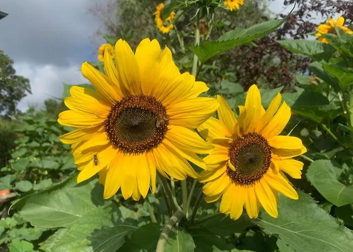 アパート Biesdorf-verkehrsguenstig Und Ruhig ベルリン