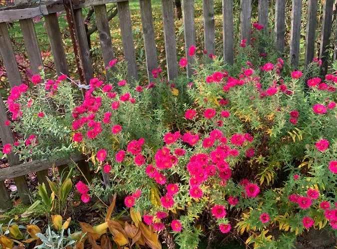 Biesdorf-verkehrsguenstig Und Ruhig *