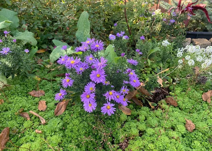 Biesdorf-verkehrsgünstig Und Ruhig *