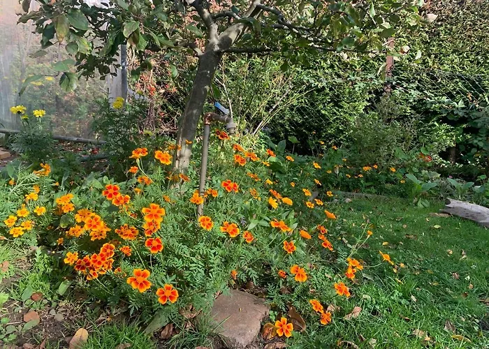 Biesdorf-verkehrsguenstig Und Ruhig *